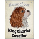 King Charles Cavalier - Pet Sign